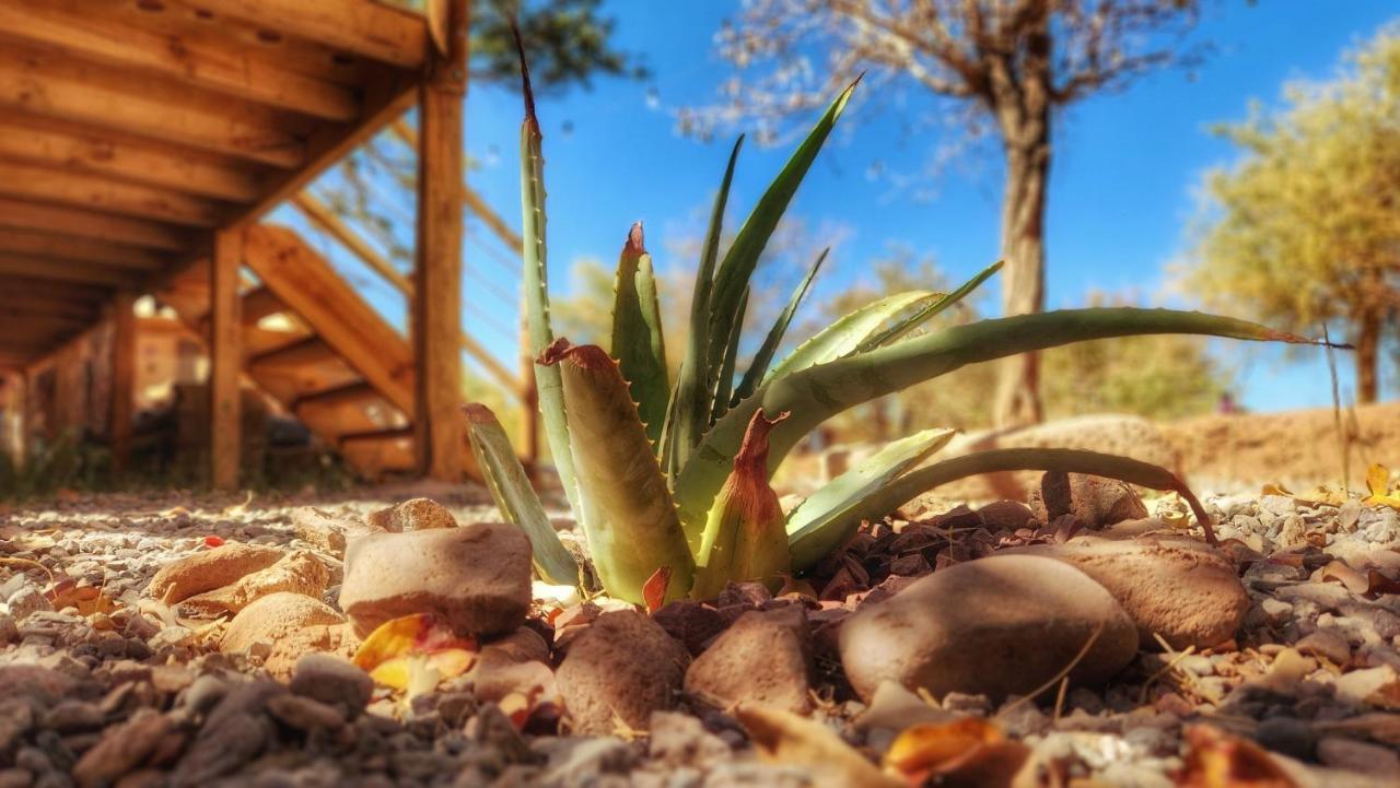 Glamping Dunas Del Sol Сан-Педро-де-Атакама Екстер'єр фото